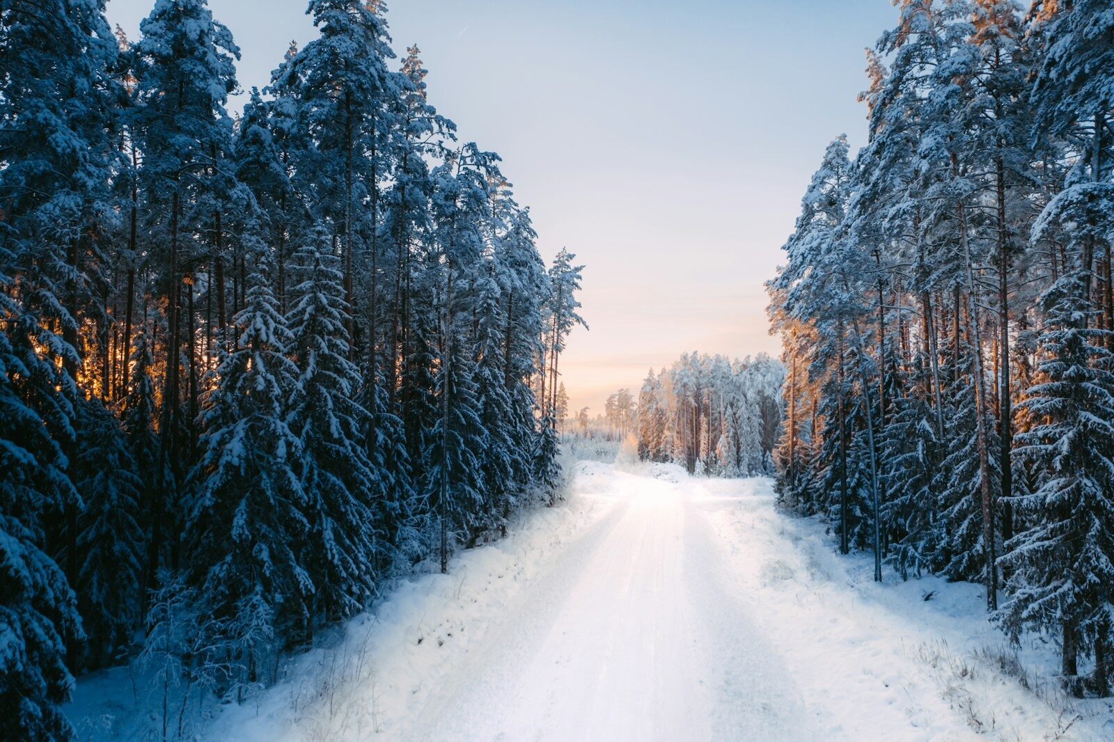 Ownership Rights and Land Reclamation