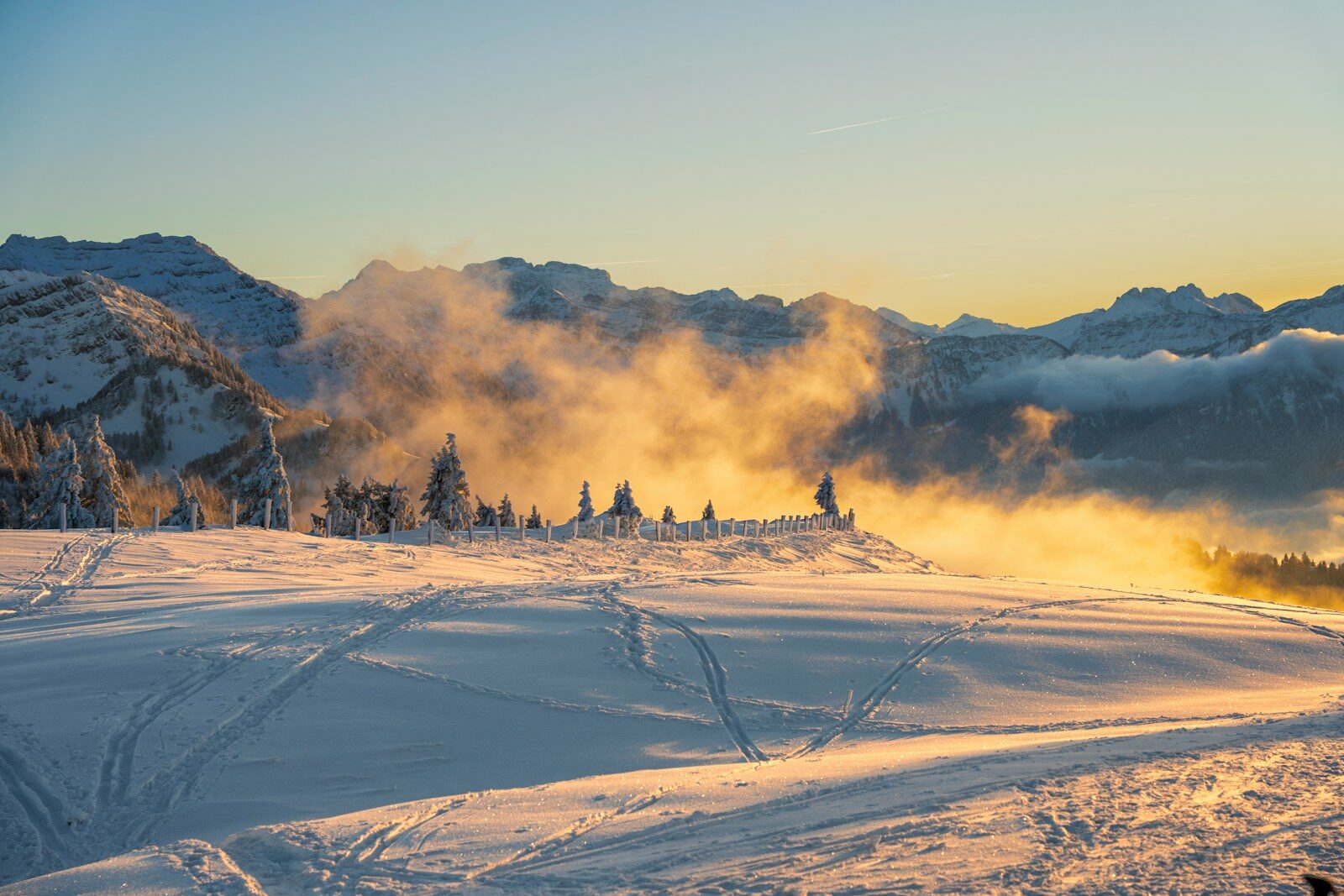 Legal Standards for Testamentary Intent